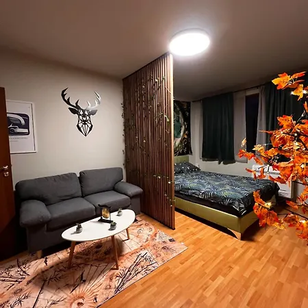 Apartman Near The Lift With A Private Parking Banszko