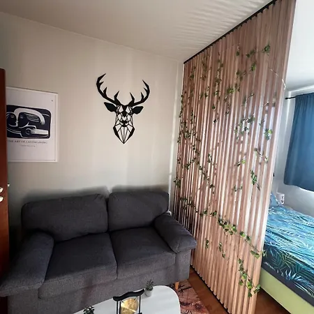 Near The Lift With A Private Parking アパート バンスコ