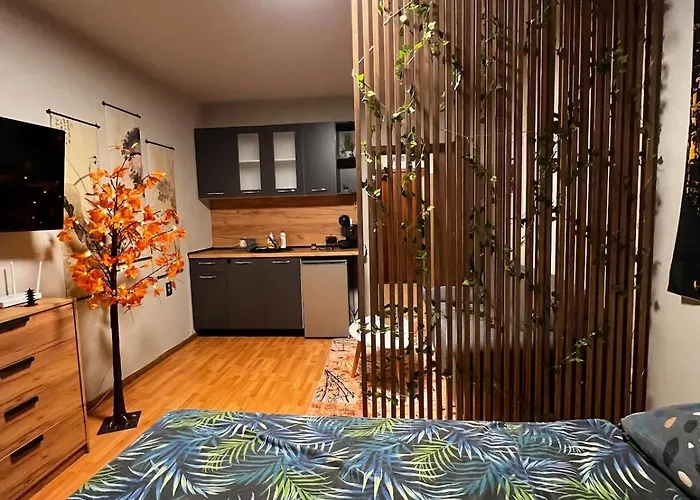 Near The Lift With A Private Parking 公寓 班斯科